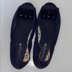American eagle flats